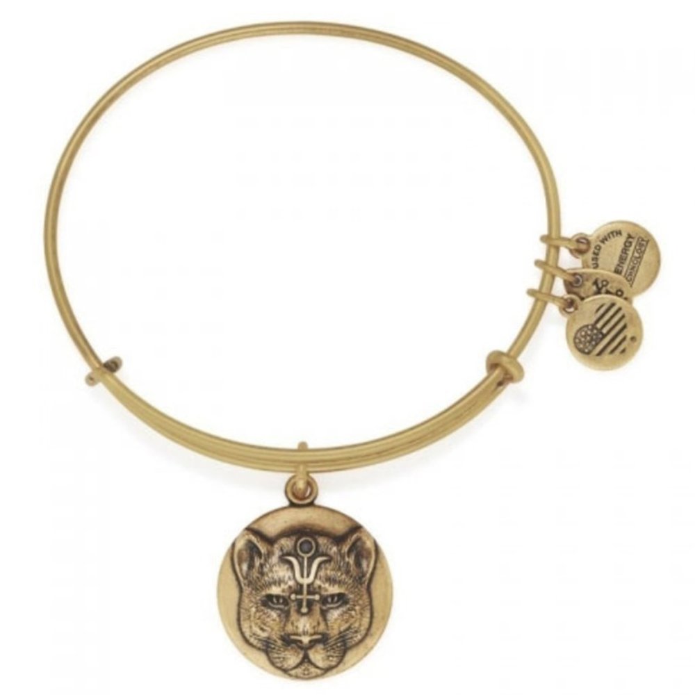 NWT Alex and Ani Wild Heart Charm Bangle - One Size
